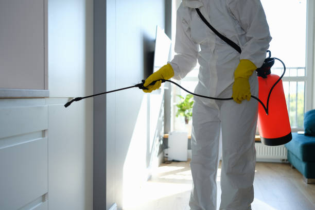 Best Office Mold Removal Services  in Sweet Home, AR